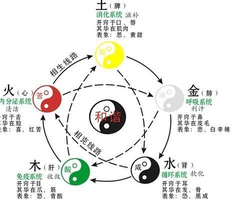 五行 算命|五行查询